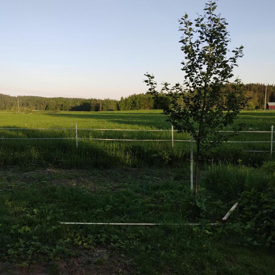 Countrycabin Bergslagen stuga Ramsberg Buitenkant foto